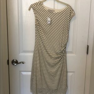 Cream and Black Striped Dress